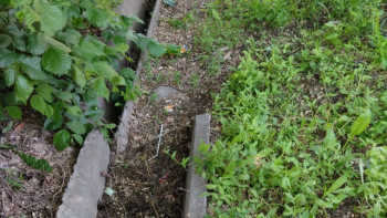 Фотография к новости: Жетісулық шаруаларға су жетпей отыр