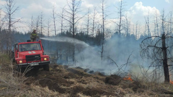 Фотография к новости: ТЖМ: Абай облысында 3500 га аумақты шарпыған өрт оқшауланды