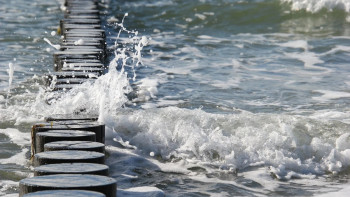 Фотография к новости: Шомылу маусымы: Атырау облысында 46 жағажай белгіленді