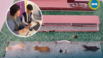 Фотография к новости: Абай облысының оқушысы қой шаруашылығын автоматтандыру жобасын әзірледі