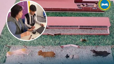 Абай облысының оқушысы қой шаруашылығын автоматтандыру жобасын әзірледі