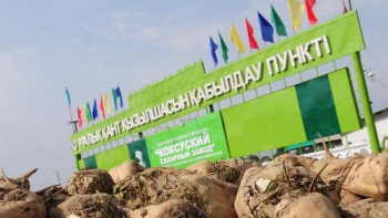 Фотография к новости: Инвестициялық жобалардан игілік бар ма?