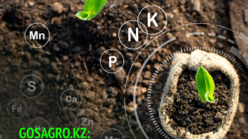 Фотография к новости: Тыңайтқыштарды сатып алуды субсидиялау үшін фермерлерге 7,5 млрд теңге төленді