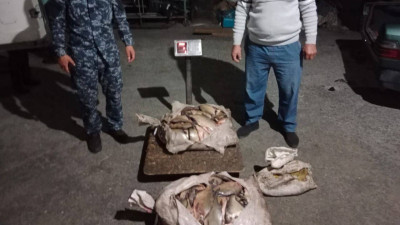 Жетісу  тұрғынынан 100 келі заңсыз ауланған балық тәркіленді