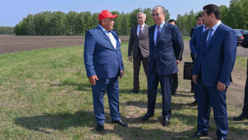 Фотография к новости: Мемлекет басшысы егістік алқабын аралап көрді