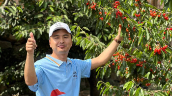 Фотография к новости: Орталық Азия журналистері Лаошань тауында шие терді