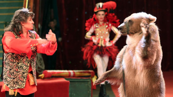 Фотография к новости: Алматы циркі балаларға қайырымдылық қойылым көрсетті