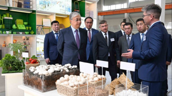 Фотография к новости: Президент қағаз өнімдерін шығаратын фабрикаға барды