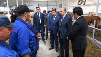 Фотография к новости: Президент: Өз-өзімізді сүт өнімдерімен қамтамасыз ететін деңгейге жетуіміз керек