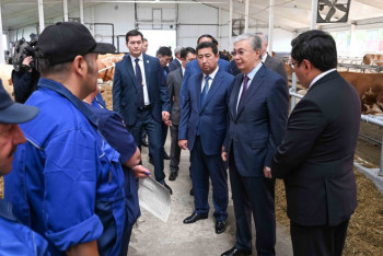 Фотография к новости: Президент: Өз-өзімізді сүт өнімдерімен қамтамасыз ететін деңгейге жетуіміз керек