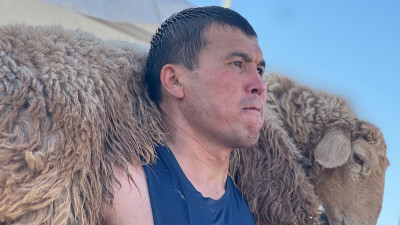 Арыстық азамат қошқар көтеруден рекорд жаңартты