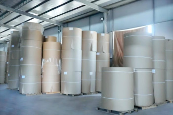 Фотография к новости: Шымкентте жылына 3 млн картон қорабы мен 10 мың тонна крафт қағазы шығарылады