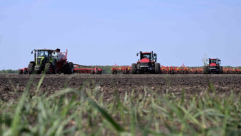 Фотография к новости: Скорняков мемлекет тарапынан көрсетіліп жатқан қолдау шаралары туралы айтты