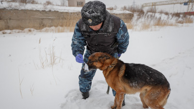 21 тонна есірткі заңсыз айналымнан шығарылды – Маткенов