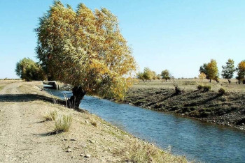 Фотография к новости: Атырауда 12 жасар бала аттан құлап мерт болды