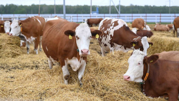 Фотография к новости: Ресей сүтін Қазақстанға әкелуге шектеу қойылды