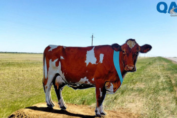 Фотография к новости: Жол апаты жиі болатын трассаларға жануарлардың макеті қойылды