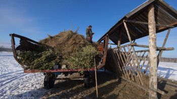 Фотография к новости: Ауылдың әлеуметтік құрылымын дамытуда ауыл шауашылығының маңызы зор – Әшімова
