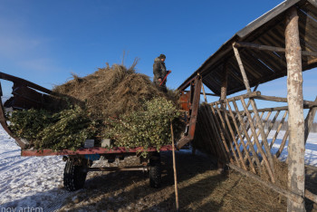 Фотография к новости: Ауылдың әлеуметтік құрылымын дамытуда ауыл шауашылығының маңызы зор – Әшімова