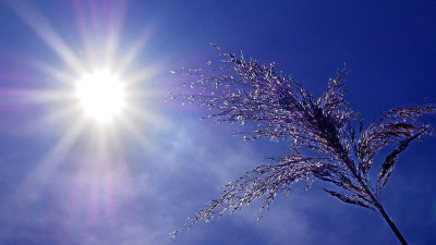 Бүгін синоптиктер 16 өңірде ескерту жариялады