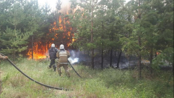 Фотография к новости: ШҚО-дағы 5 аймақ өрт қаупінің 4-санатында