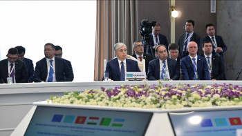 Фотография к новости: Президент климат және «жасыл энергетикаға» көшу салаларындағы өзара іс-әрекетті атап өтті