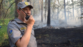 Фотография к новости: Зерендіде 10 гектар аумақта орман өртеніп жатыр