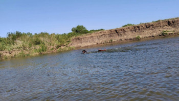 Фотография к новости: Қарағанды облысында 15 жастағы оқушы суға батып кетті