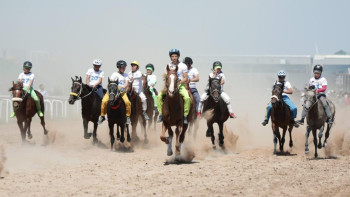 Фотография к новости: Мемлекеттік рәміздер күні: елордада республикалық деңгейде бәйге өтті