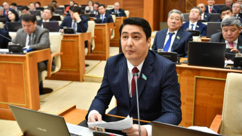 Фотография к новости: Депутат: Мүгедектігі бар адамдарға ұшақ билетіне ешқандай жеңілдік жоқ