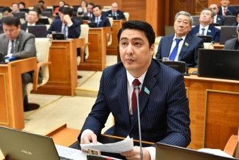 Депутат: Мүгедектігі бар адамдарға ұшақ билетіне ешқандай жеңілдік жоқ