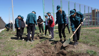 Фотография к новости: Ұлытауда «Жасыл ел» еңбек жасағы жұмысқа кірісті