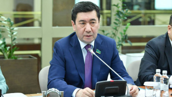 Фотография к новости: Өзгеретіндері тек баяндамашылар мен сұрақ қоятындар. Қошанов Үкіметтің «тамаша» цифрын сынады