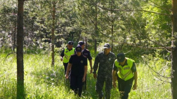 Фотография к новости: Катонқарағай қорығына кіруге уақытша тыйым салынды