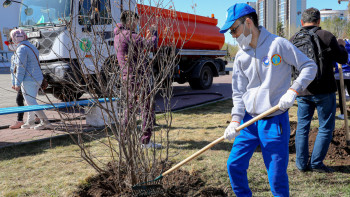 Фотография к новости: 35 жасқа дейінгі алматылықтар «Жасыл ел» қатарына қосыла алады