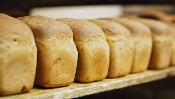 Фотография к новости: Павлодар ауданында наубайхана мен ірімшік цехы іске қосылады