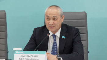 Фотография к новости: Әкімдер айналасына блогерлерді жинап алып, депутаттарға тиіседі – Жаңбыршин өзіне жасалған «шабуыл» туралы