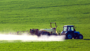 Фотография к новости: Шегірткемен күреске бюджеттен қанша ақша бөлінді