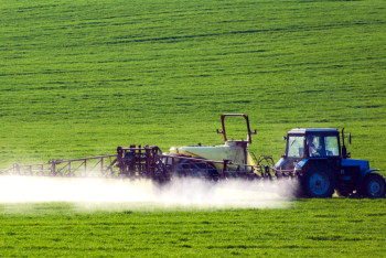 Фотография к новости: Шегірткемен күреске бюджеттен қанша ақша бөлінді