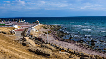 Фотография к новости: Ақтауда көрмеге әлемдегі ең танымал роботтар қойылды