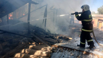 Фотография к новости: Семейде тағы орман өртеніп жатыр
