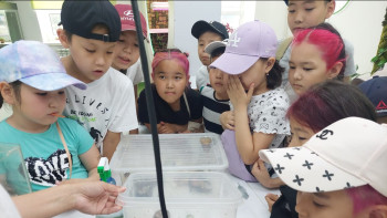 Фотография к новости: Павлодар облысында жеті мың оқушы лагерьге барады