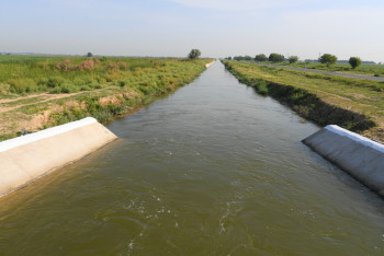 Фотография к новости: Жұмыс дұрыс жоспарланбаған, зардабын ел тартып отыр - әкім