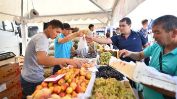 Фотография к новости: Алматыдағы ауыл шаруашылық жәрмеңкесінде 50-ден астам өнім ұсынылады