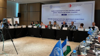 Фотография к новости: Самарқандта Орталық Азия елдерінің эпизоотиялық салауаттылығы мәселелері талқыланды