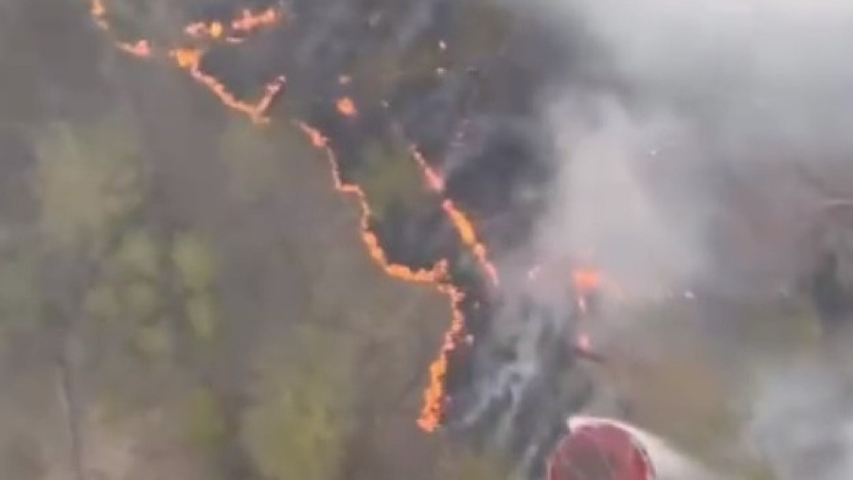  видеодан кадр