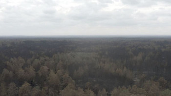 Фотография к новости: Жедел штаб: Қатты жел өртті сөндіруді қиындатуда