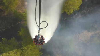 Фотография к новости: Семей орманындағы өрт 60 мың гектар аумақты шарпыған