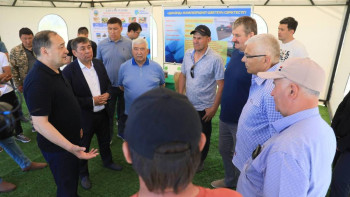 Фотография к новости: Ақтөбе облысын картоппен 100 пайыз қамтамасыз ете аламыз - әкім