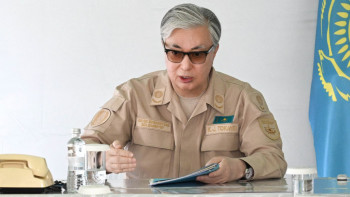 Фотография к новости: Тоқаев орман өрті туралы: Министр келмеді, облыс әкімі тым баяу қозғалды